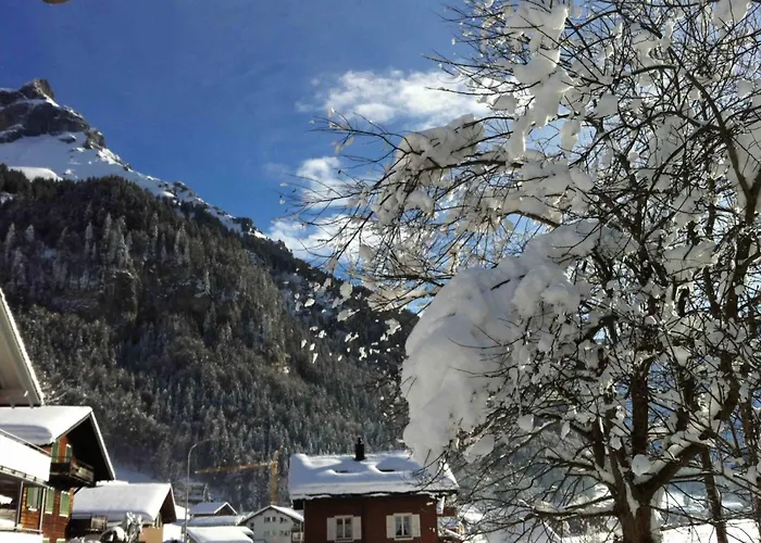 Apartment Haelmehois By Interhome Engelberg